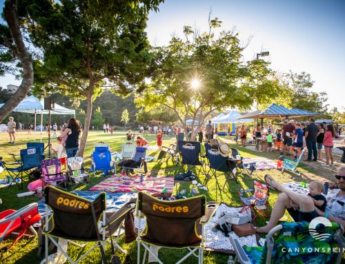 Tacos & Dogs Annual Picnic 2019 Recap