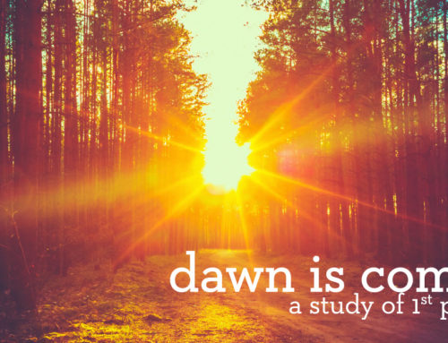 Dawn is Coming (Series)