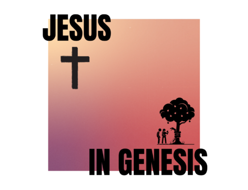 The Spirituality of Genesis (Interactive Guide)