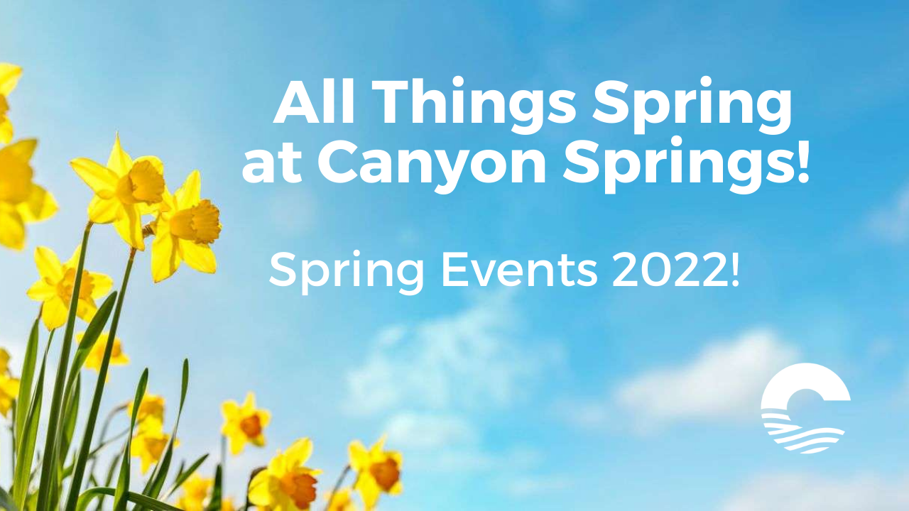 All Things Spring 2022