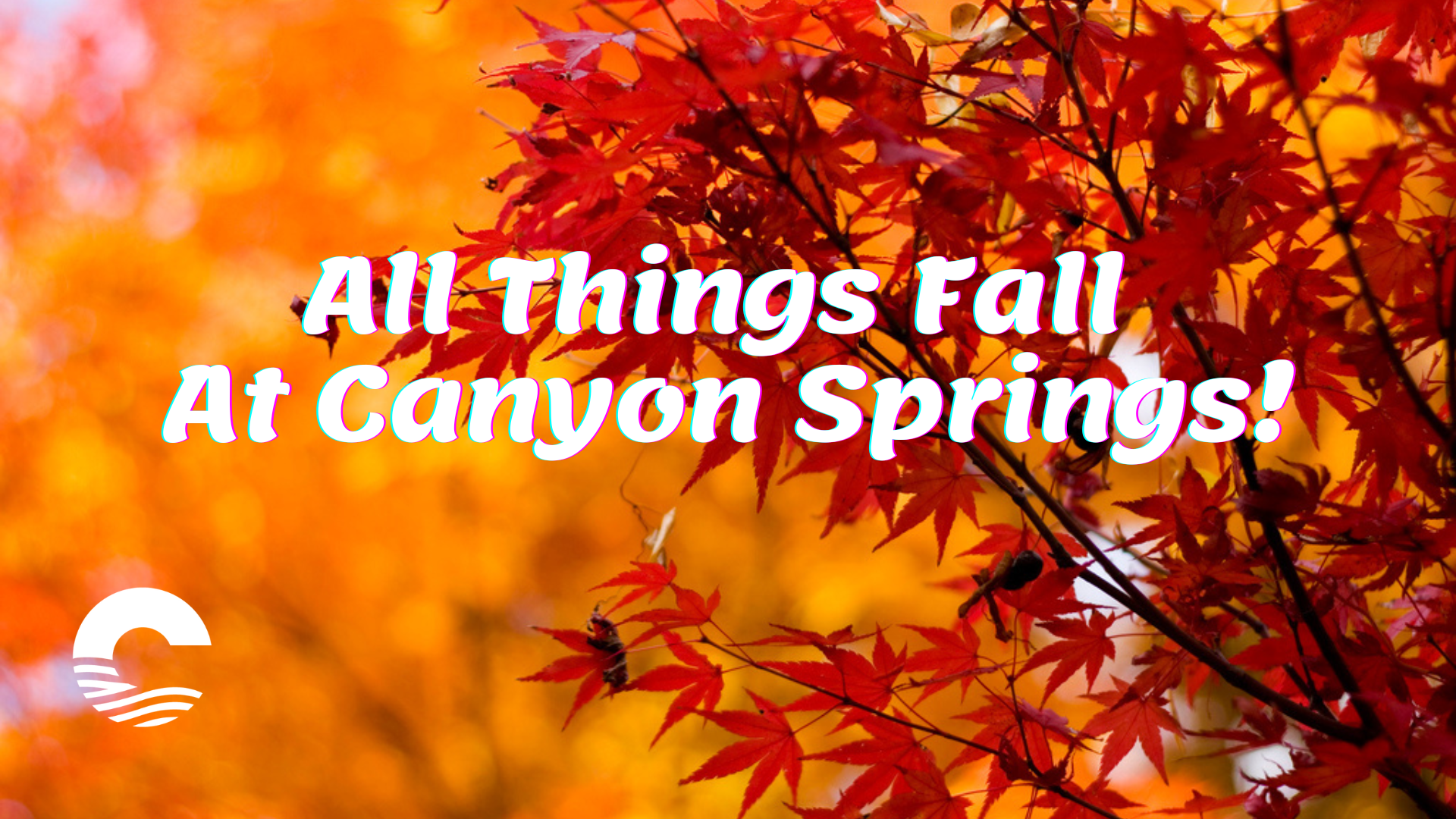 _All Things Fall 2022