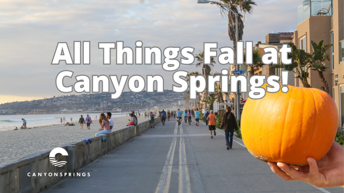 All Things Fall at CSC 2023