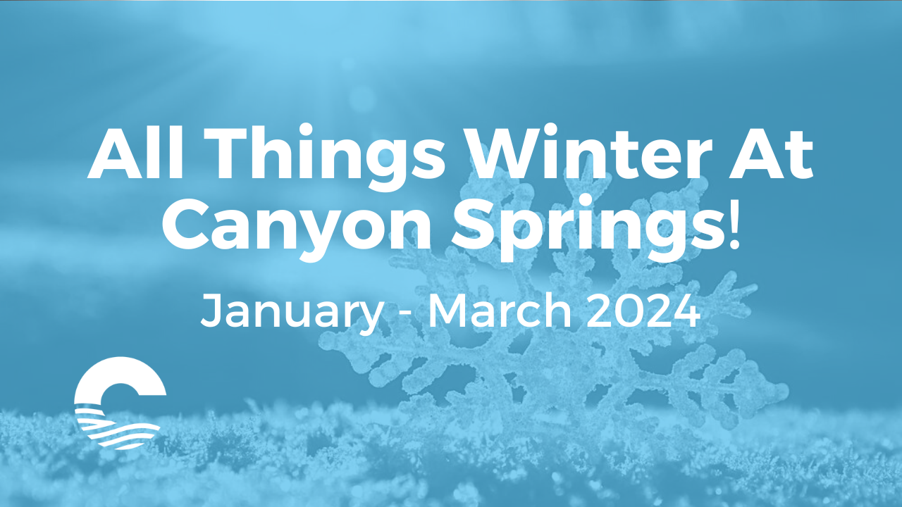 All Things Winter 2024