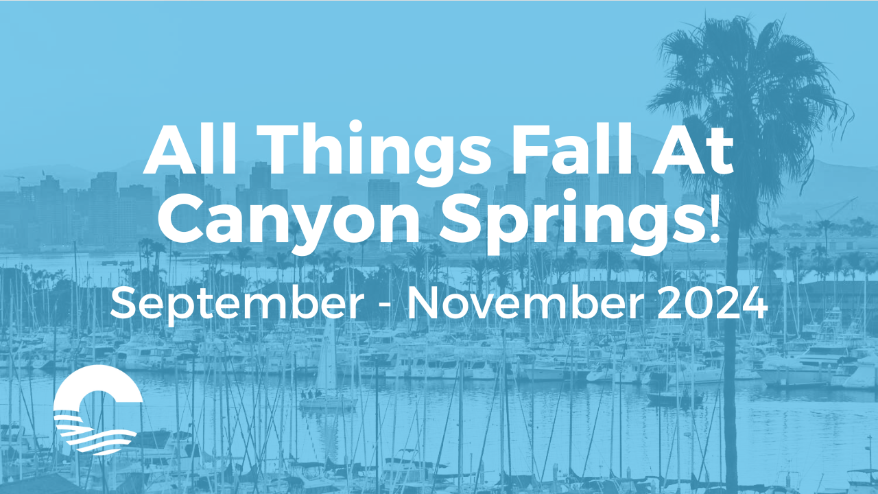 All Things Fall 2024 Header