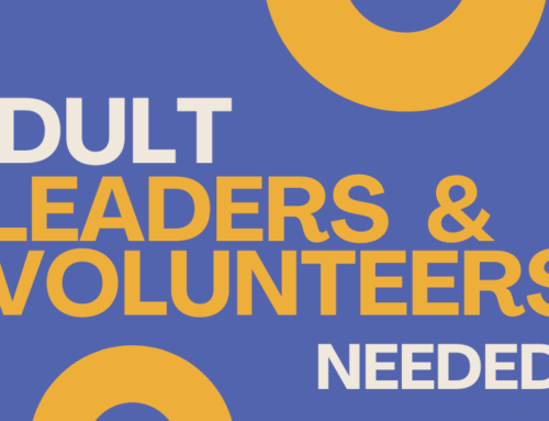 Adult Volunteer Campaign