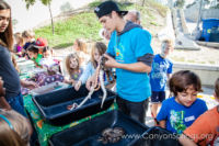 Our Kids (and some adults ;) enjoyed the animals brought in by The Lizard Wizard. https://www.canyonsprings.org Our Kids (and some adults ;) enjoyed the animals brought in by The Lizard Wizard. https://www.canyonsprings.org