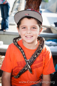 Our Kids (and some adults ;) enjoyed the animals brought in by The Lizard Wizard. https://www.canyonsprings.org Our Kids (and some adults ;) enjoyed the animals brought in by The Lizard Wizard. https://www.canyonsprings.org