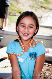 Our Kids (and some adults ;) enjoyed the animals brought in by The Lizard Wizard. https://www.canyonsprings.org Our Kids (and some adults ;) enjoyed the animals brought in by The Lizard Wizard. https://www.canyonsprings.org
