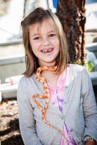 Our Kids (and some adults ;) enjoyed the animals brought in by The Lizard Wizard. https://www.canyonsprings.org Our Kids (and some adults ;) enjoyed the animals brought in by The Lizard Wizard. https://www.canyonsprings.org