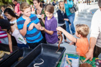 Our Kids (and some adults ;) enjoyed the animals brought in by The Lizard Wizard. https://www.canyonsprings.org Our Kids (and some adults ;) enjoyed the animals brought in by The Lizard Wizard. https://www.canyonsprings.org