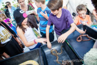 Our Kids (and some adults ;) enjoyed the animals brought in by The Lizard Wizard. https://www.canyonsprings.org Our Kids (and some adults ;) enjoyed the animals brought in by The Lizard Wizard. https://www.canyonsprings.org