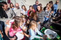 Our Kids (and some adults ;) enjoyed the animals brought in by The Lizard Wizard. https://www.canyonsprings.org Our Kids (and some adults ;) enjoyed the animals brought in by The Lizard Wizard. https://www.canyonsprings.org