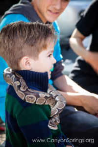 Our Kids (and some adults ;) enjoyed the animals brought in by The Lizard Wizard. https://www.canyonsprings.org Our Kids (and some adults ;) enjoyed the animals brought in by The Lizard Wizard. https://www.canyonsprings.org