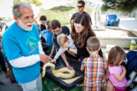 Our Kids (and some adults ;) enjoyed the animals brought in by The Lizard Wizard. https://www.canyonsprings.org Our Kids (and some adults ;) enjoyed the animals brought in by The Lizard Wizard. https://www.canyonsprings.org
