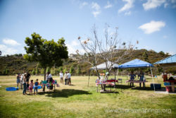 140412-Canyon-Springs-Church-Young-Family-Picnic-9928_LR1600csc.jpg