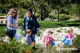 Backwards Easter Egg Hunt 2016 https://www.canyonsprings.org