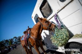 Canyon Springs Church at the 2016 Scripps Ranch 4th of July Parade. Learn more at https://www.canyonsprings.org