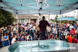 Celebrate Baptisms at Canyon Springs Church! #Baptism Learn more at https://www.canyonsprings.org