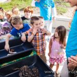 Our Kids (and some adults ;) enjoyed the animals brought in by The Lizard Wizard. https://www.canyonsprings.org
