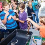 Our Kids (and some adults ;) enjoyed the animals brought in by The Lizard Wizard. https://www.canyonsprings.org